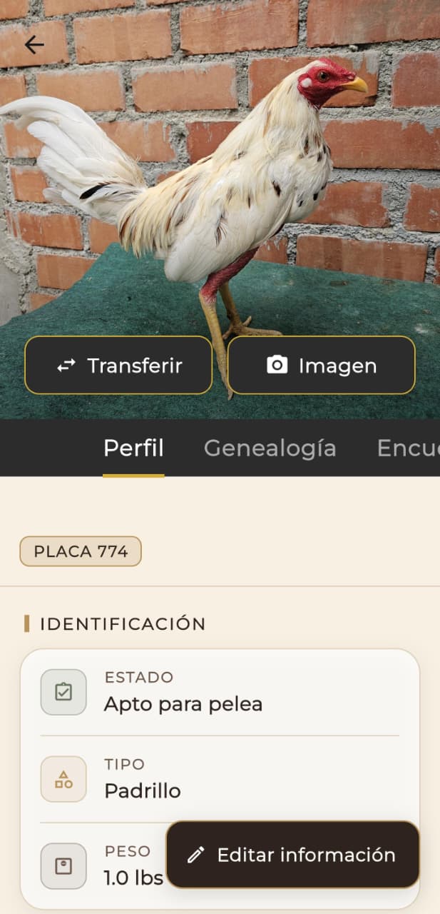 Autenticidad